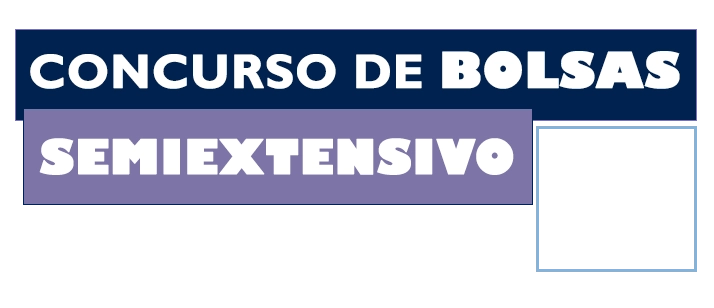 Concurso de bolsas